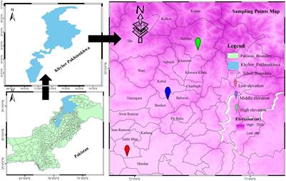 Environment-Driven Changes in the Functional Traits of Milk Thistle [Silybum marianum (L). Gaertn.] Along an Altitudinal Gradient in the Semi-Arid Environment: Perspective on Future Plant Invasion